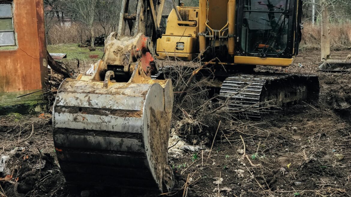 Follow these Do’s and Don’ts while Hiring the Best Stump Grinding Company in New Jersey