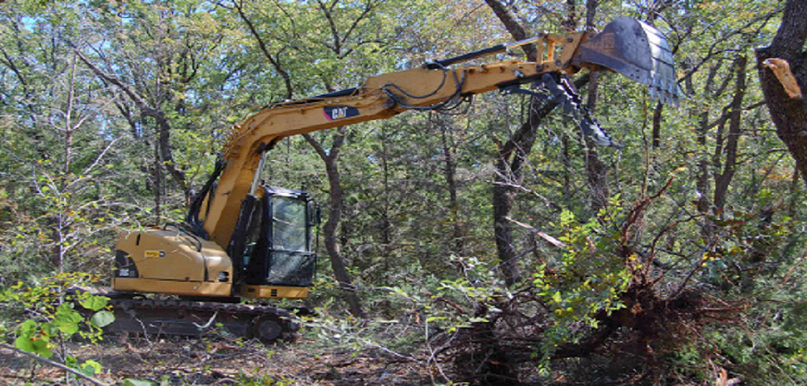 What are the Steps Involved in Professional Land Clearing?